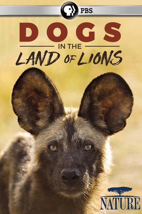 Poster for Dogs in the Land of Lions