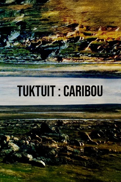 Poster for Tuktuit: Caribou