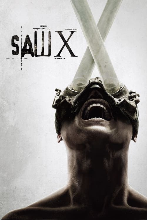 Постер до фільму «Пила X»
