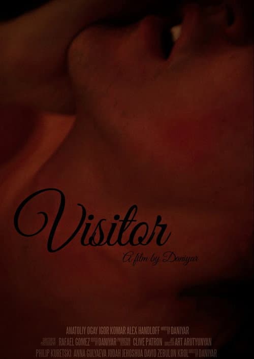 Poster for Visitor