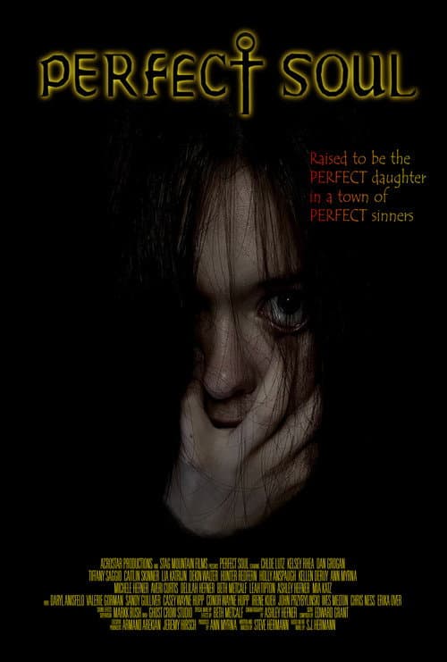Poster for Perfect Soul