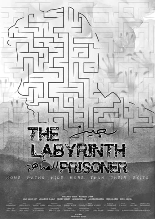 Poster for The Labyrinth Prisoner