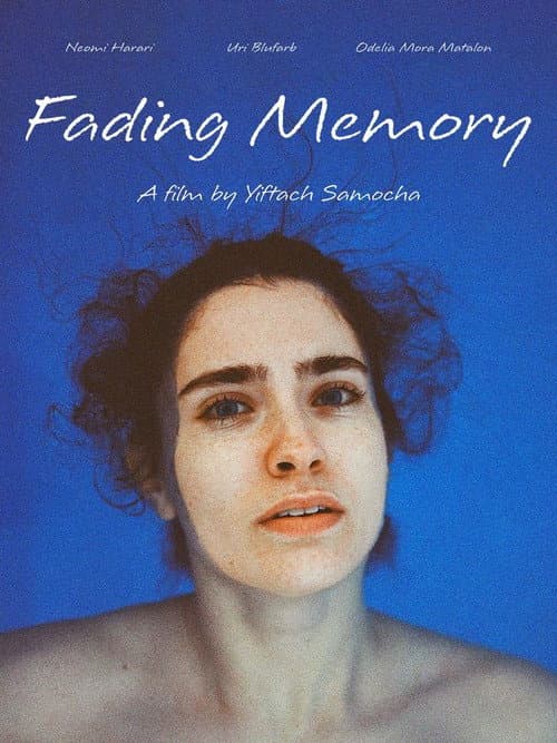 Poster for Fading Memory