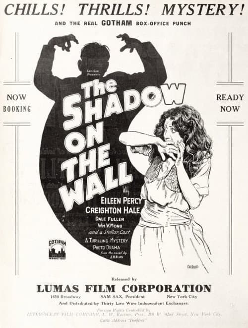 Poster for The Shadow on the Wall