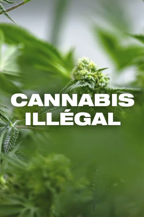 Poster for Cannabis illégal