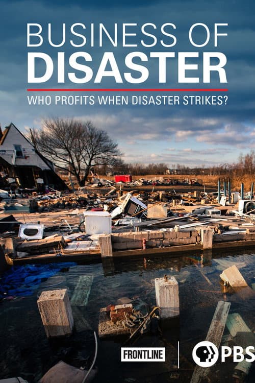 Poster for Business of Disaster