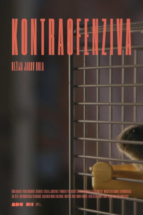 Poster for Counter-offensive