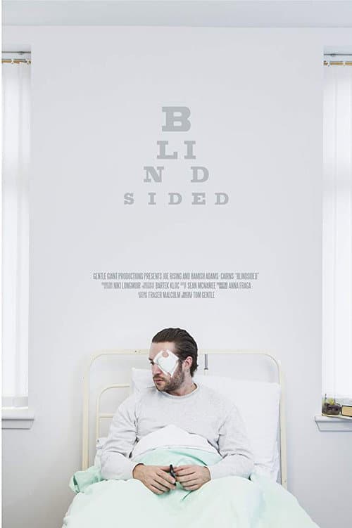 Poster for Blindsided