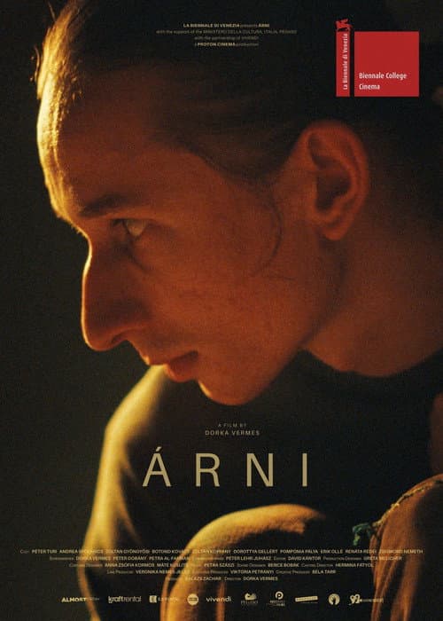 Poster for Árni