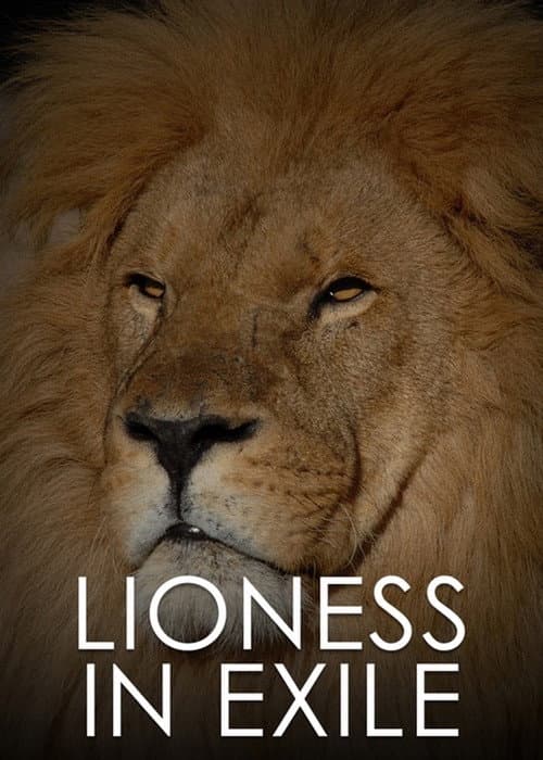 Постер до фільму «Lioness in Exile»