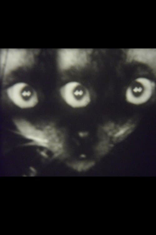 Poster for Wee Gee’s Camera Magic