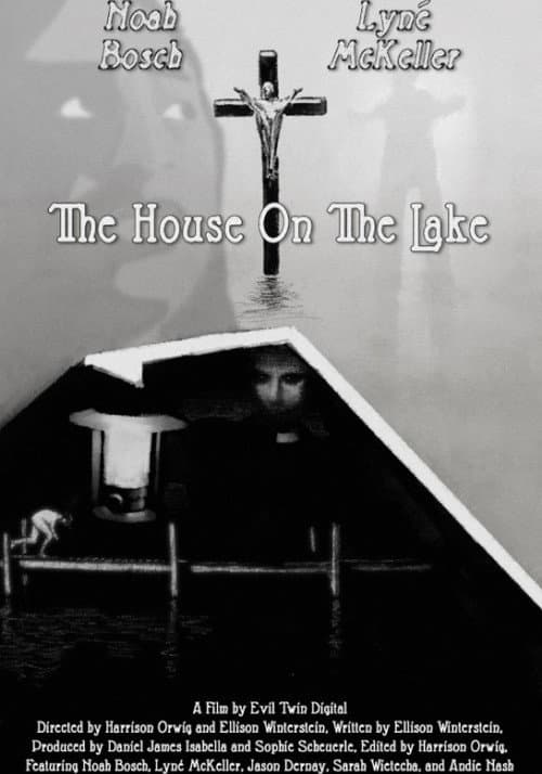 Poster for The House On The Lake