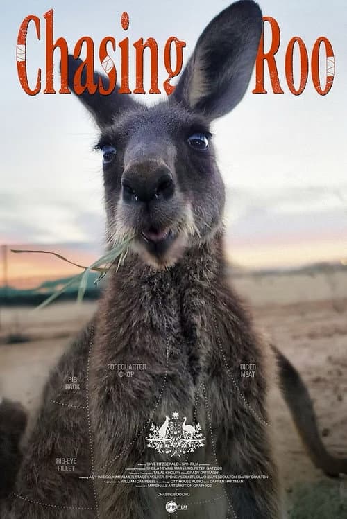 Poster for Chasing Roo