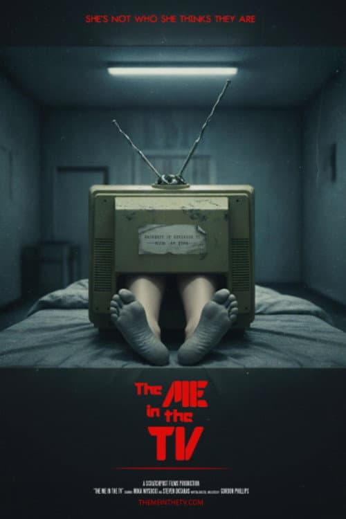 Poster for The Me in the TV