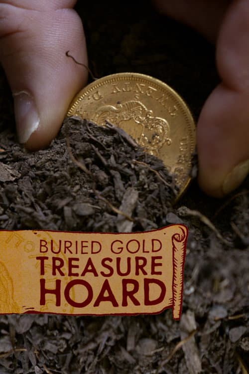 Poster for Buried Gold: Treasure Hoard
