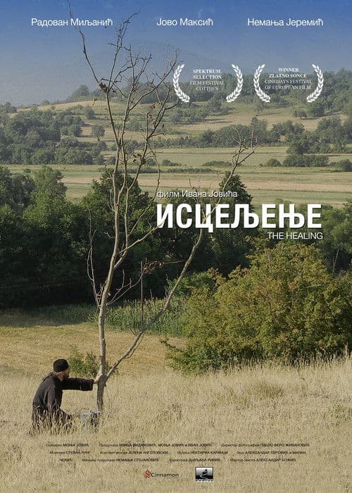 Poster for The Healing