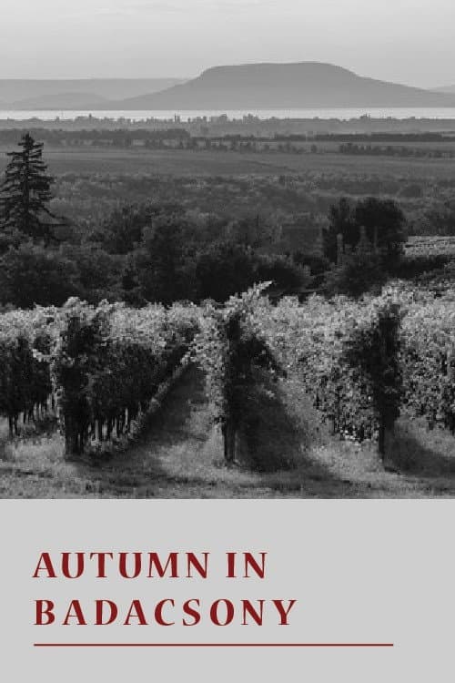 Poster for Autumn in Badacsony