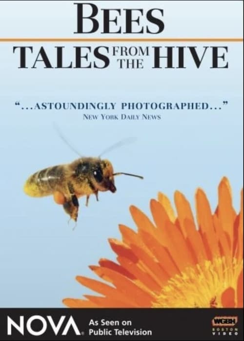Poster for Bees - Tales from the Hive