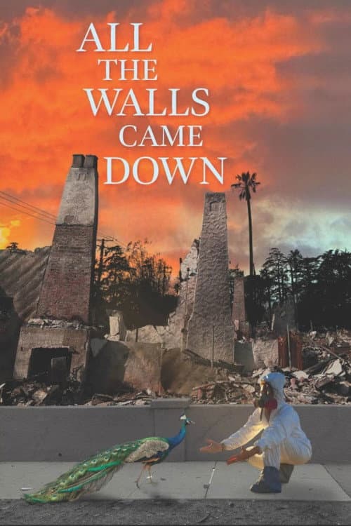 Poster for All the Walls Came Down