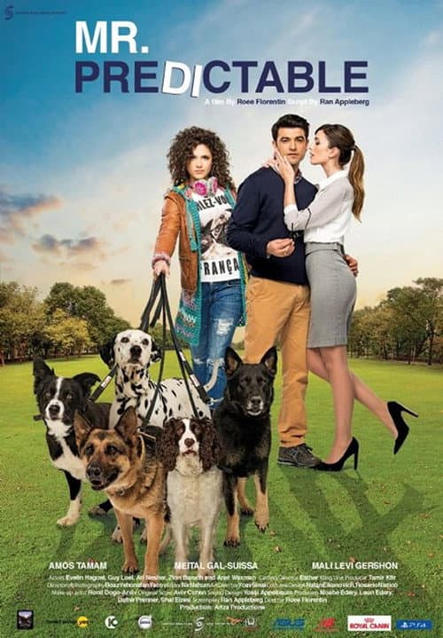 Poster for Mr. Predictable