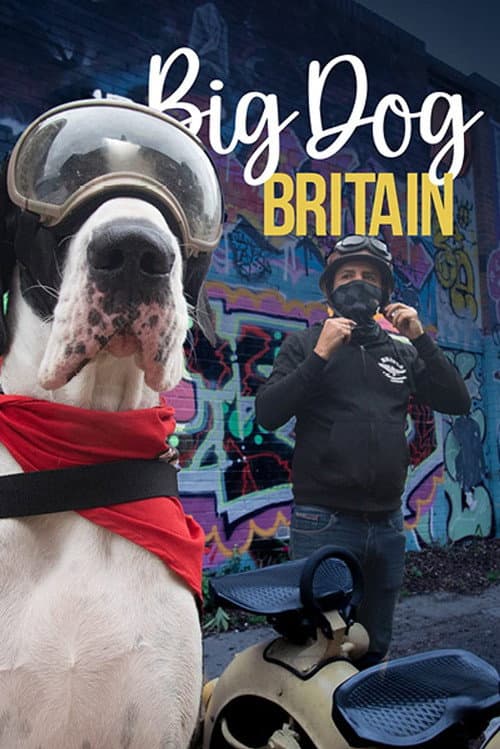 Poster for Big Dog Britain