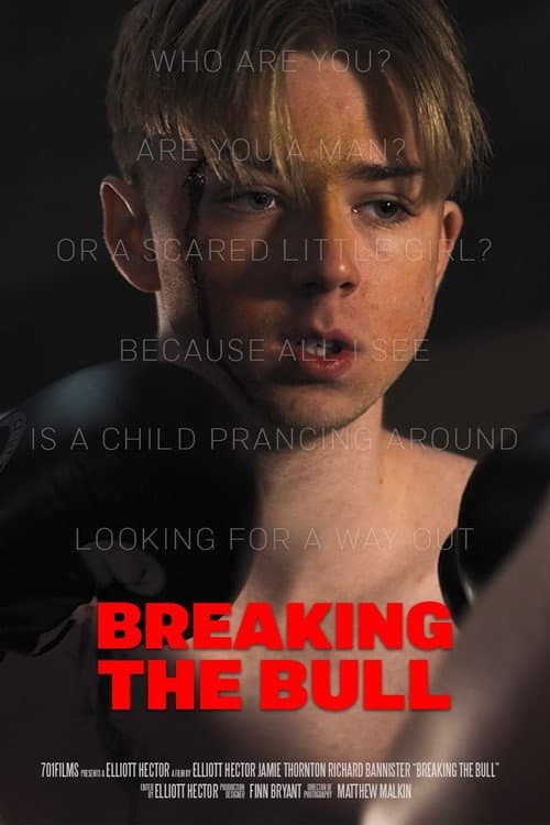 Poster for Breaking the Bull