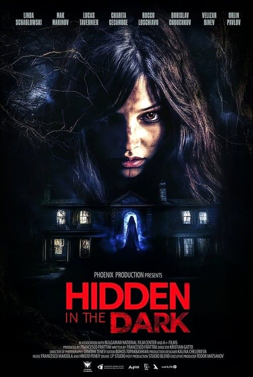Poster for Hidden in the Dark