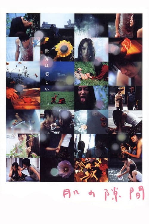 Poster for A Gap in the Skin