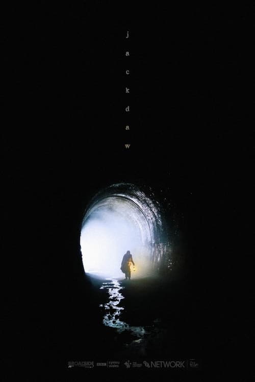 Poster for Jackdaw