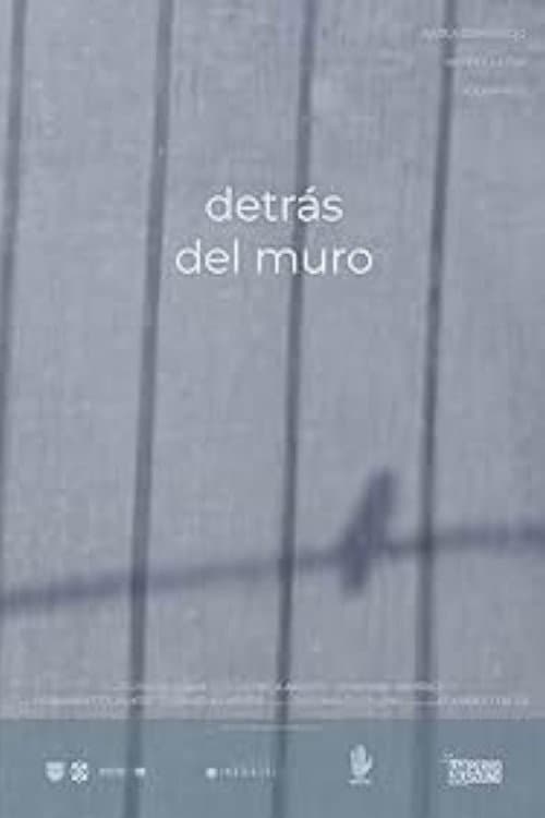Poster for Detrás del Muro