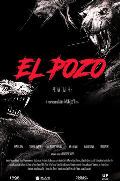 Poster for El pozo
