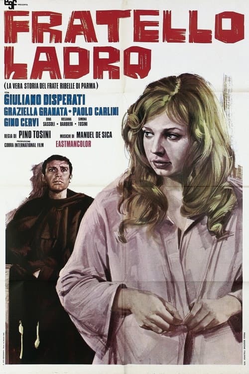 Poster for Fratello ladro