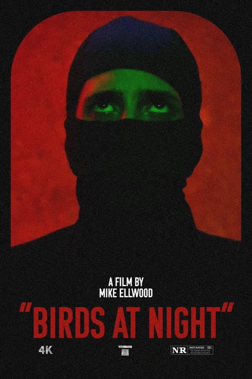 Poster for Birds at Night