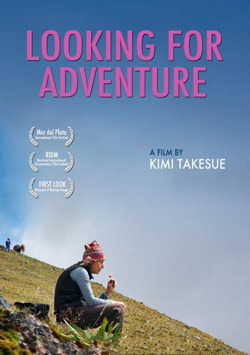 Poster for Looking for Adventure
