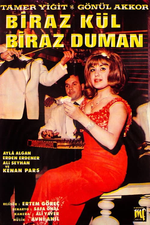 Poster for Biraz Kül Biraz Duman