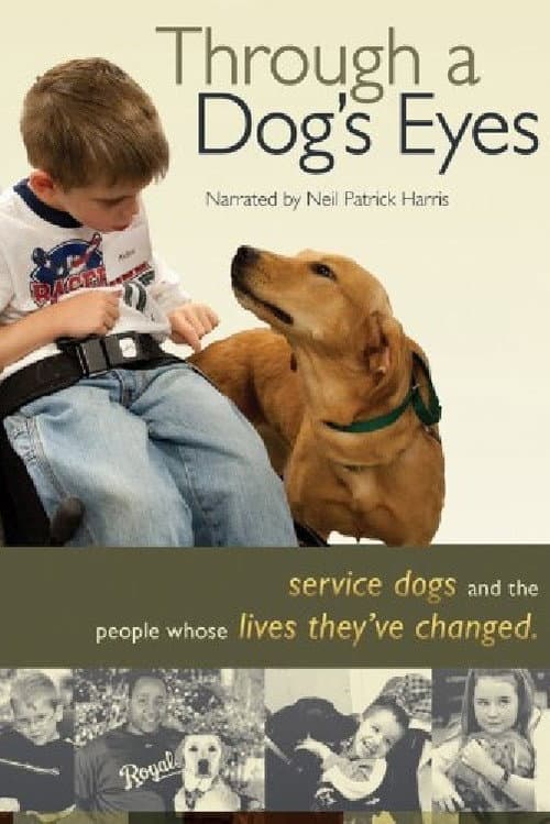 Poster for Through a Dog's Eyes