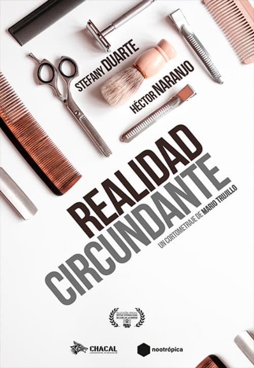 Poster for Surrounding Reality