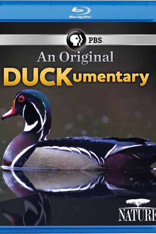 Poster for PBS Nature - An Original DUCKumentary