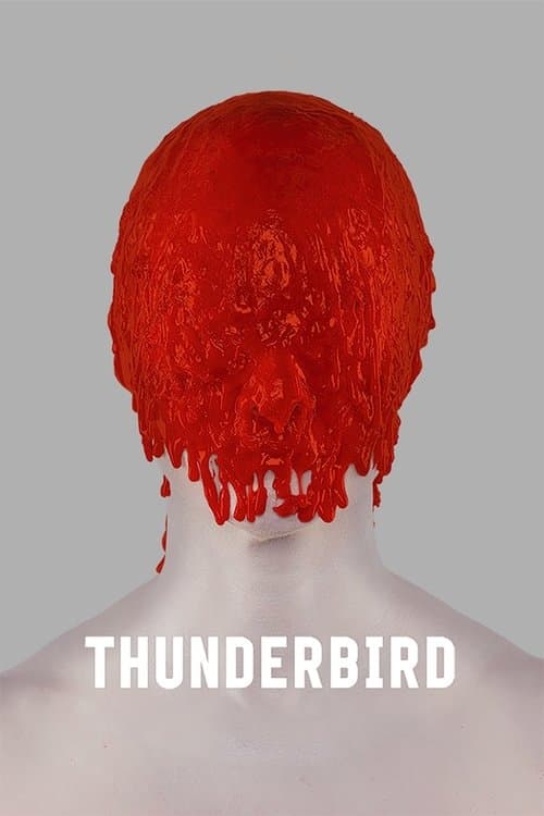 Poster for Thunderbird
