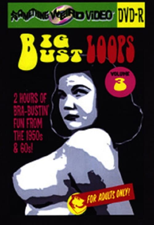 Poster for Big Bust Loops Volume 3
