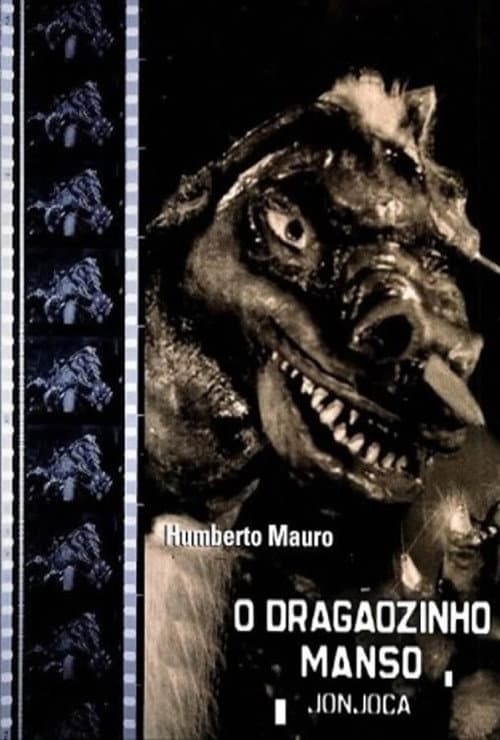 Poster for O Dragãozinho Manso - Jonjoca