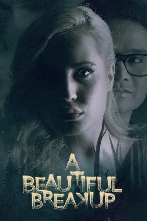 Poster for A Beautiful Breakup
