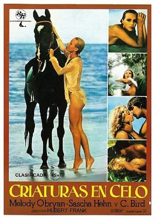 Poster for Melody in Love