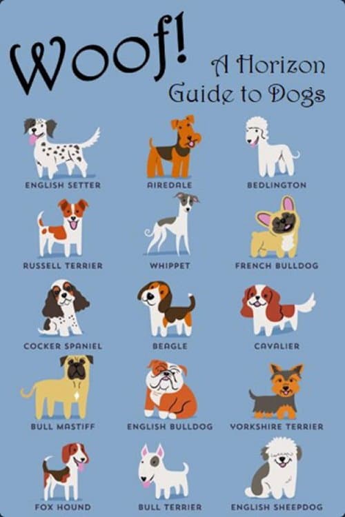 Poster for Woof! A Horizon Guide to Dogs