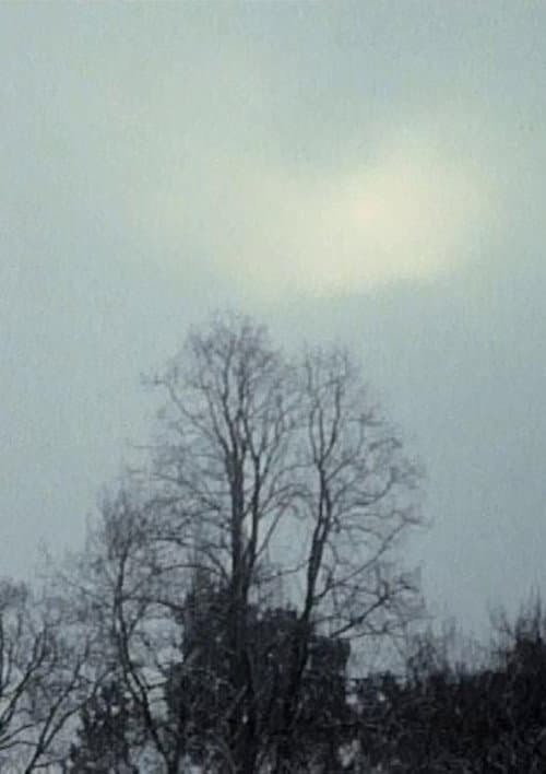 Poster for Hanging Upside Down in the Branches