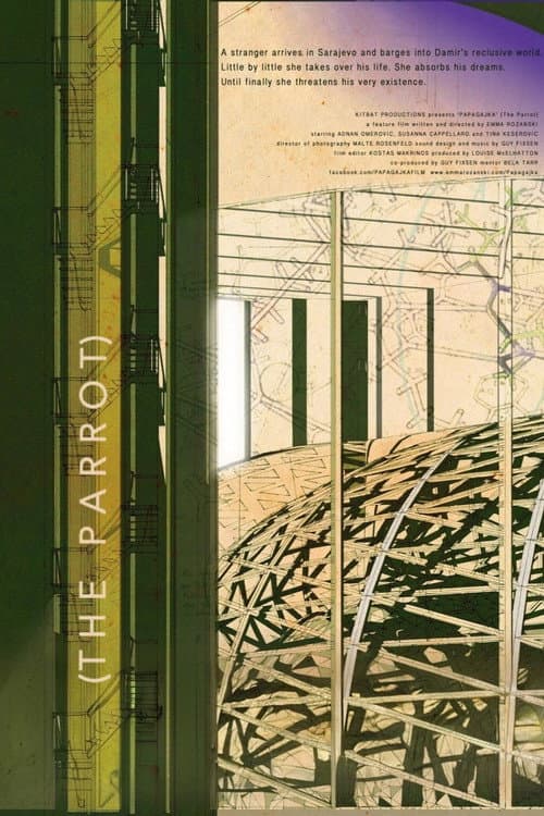 Poster for The Parrot