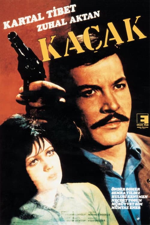 Poster for Kaçak