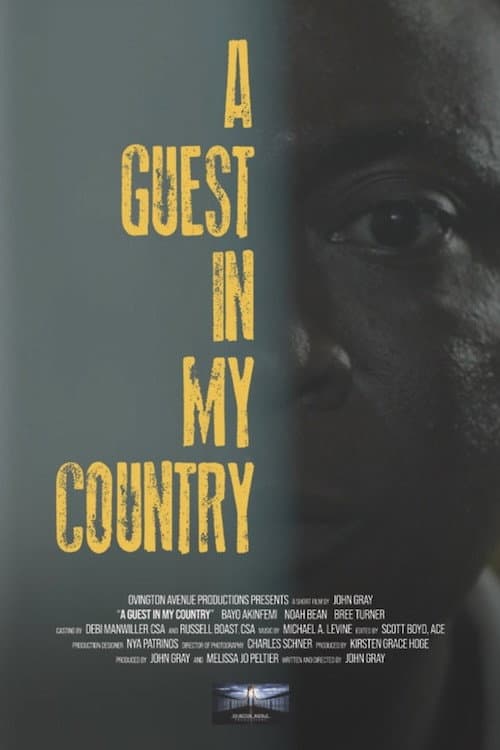 Poster for A Guest in My Country