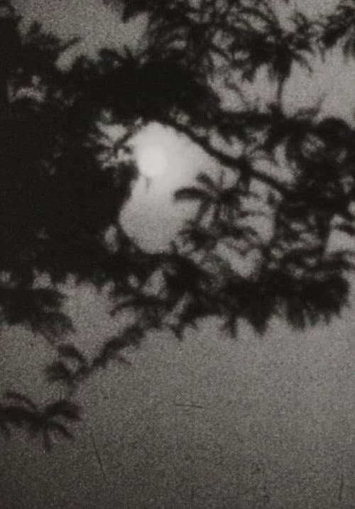 Poster for Moonplay