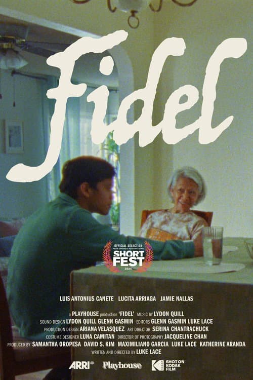 Poster for Fidel